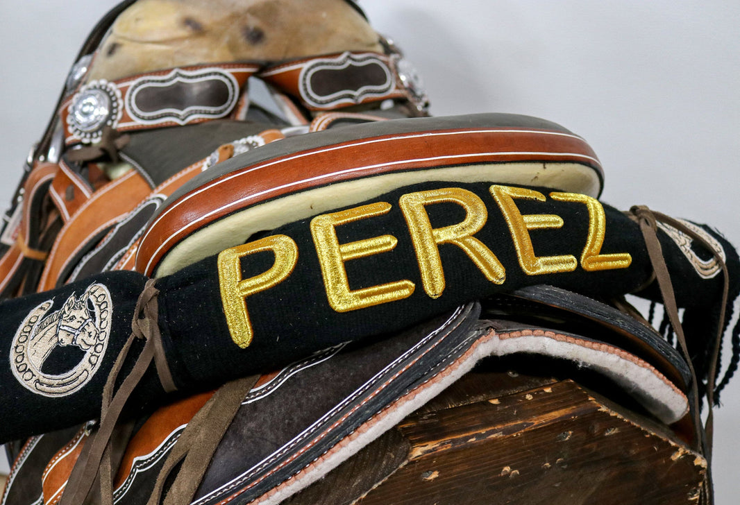 Vino Gonzalez Charro Mexican Saddle Sarape main image 1