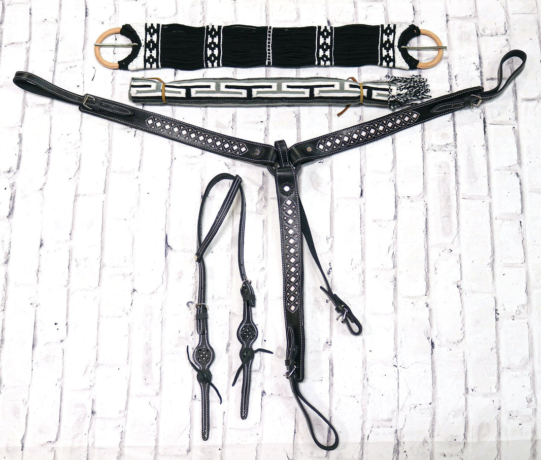 Charro Horse Caballo Tack Lienzo Bundle main image 1