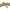 Charro Rawhide Natural Hondilla Rope Rosadera - M - Royal Saddles - Ropes/Sogas