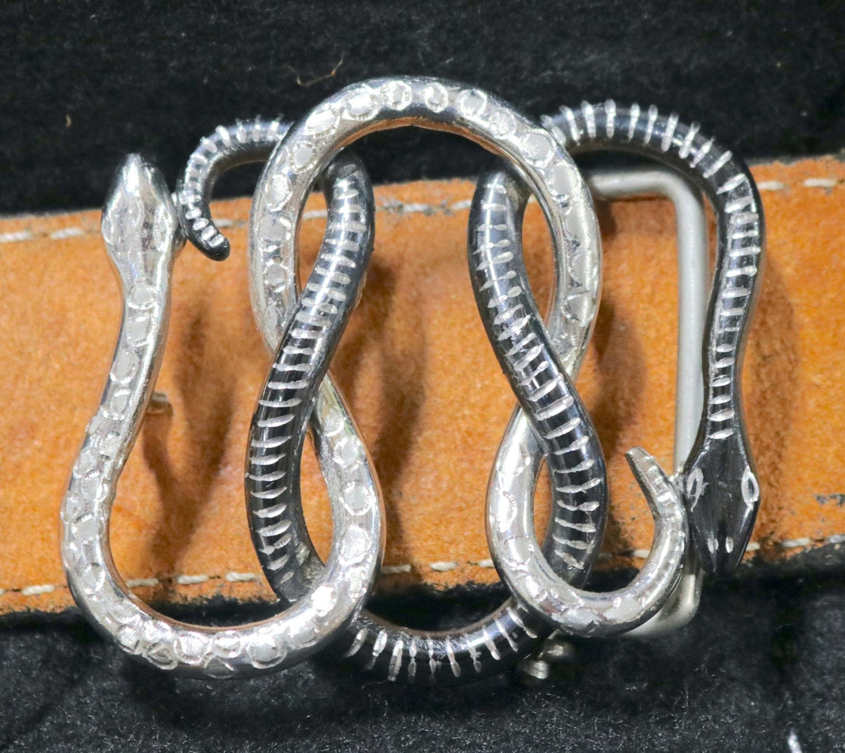 Kids Nino Belt Buckle Snake Design - M - Royal Saddles - Mini/Pony Tack