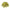 Limon Verde Camisa Oro Flor Charra Mono - M - Royal Saddles - Monos Charros