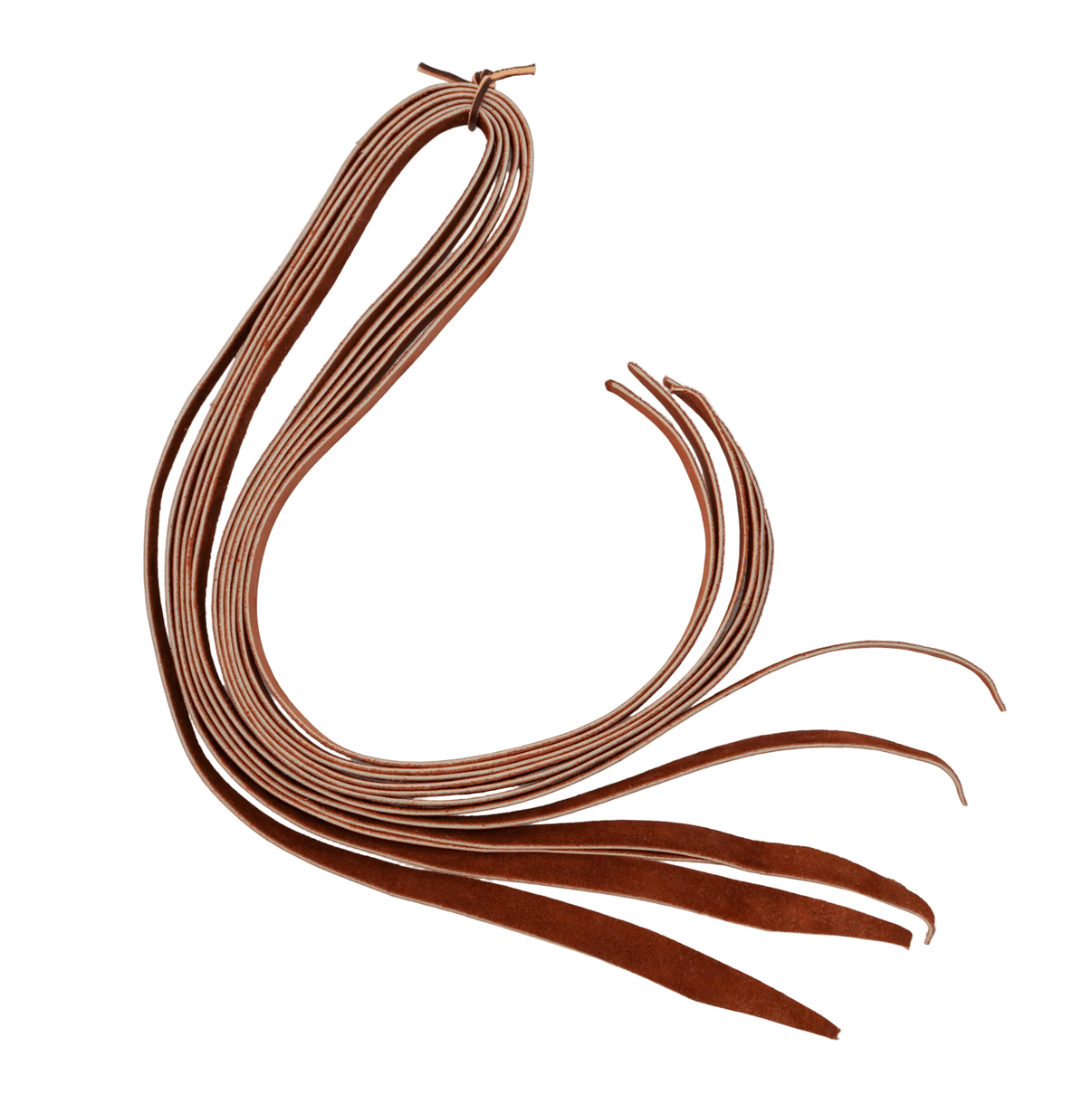 Mocha Juego de 8 Piel Tientos Para Montura Charra Leather Strings - M - Royal Saddles - Charro Saddle Parts