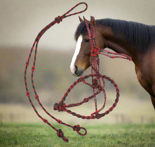 Charro Brown Cafe Bosal Charro Style Bosal