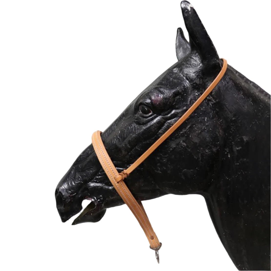 Working Cowboy Roper Russet Noseband - M - Royal Saddles - Western Headstall/Bosal