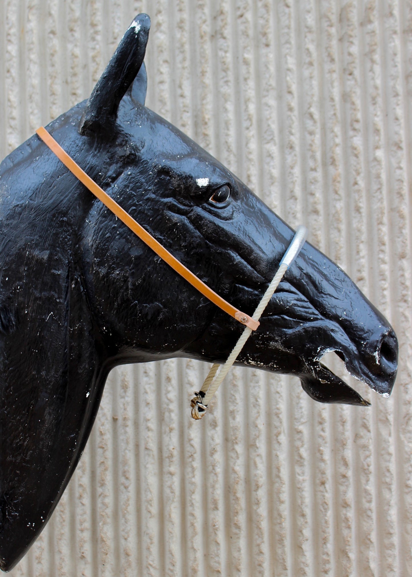 Rope Western Noseband With Plastic Tubing Headstall