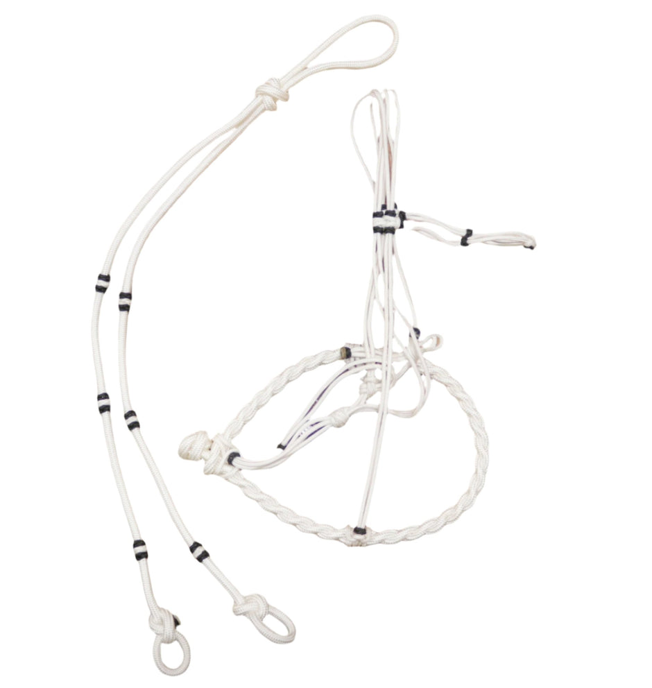 Charro Gris Caballo Halter Bosal/Rienda Set main image 0